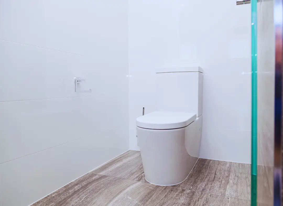 Remplacement de wc Saint-Christol-lès-Alès